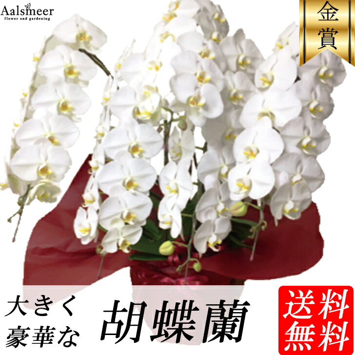 父の日商いもの特集！