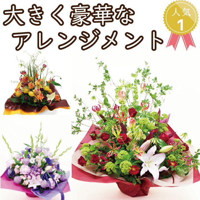 アレンジメント 選べる色合い 円 送料無料 ラッピング無料 お祝い 開店祝い 開業祝い 移転祝い 昇進 就任 還暦 ギフト プレゼント お花のプレゼント 未使用品 アレンジメント 選べる色合い 円 送料無料 ラッピング無料 お祝い 開店祝い 開業祝い 移転祝い 昇進 就任 還暦 ギフト プレゼント お花のプレゼント 未使用品