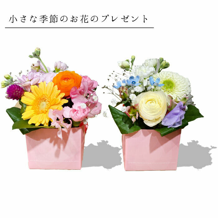 楽天市場 1000円 ギフト 花 プチアレンジメント プチギフト 誕生日 女性 女性用プレゼント ピンク パープル 花ギフト アレンジメント ボックス お祝い 開店祝い 開業祝い 移転祝い 昇進 就任 還暦 ギフト お花の プレゼント フラワーアルスメール lsmeer