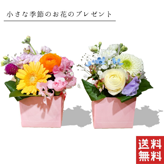 楽天市場 あす楽12時まで 花 プチアレンジメント プチギフト 誕生日 女性 女性用プレゼント ピンク パープル 花ギフト アレンジメント ボックス お祝い 開店祝い 開業祝い 移転祝い 昇進 就任 還暦 ギフト お花の プレゼント フラワーアルスメール lsmeer