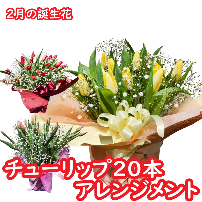 楽天市場 2月誕生花 チューリップ本のアレンジメント バースデーフラワー 誕生花を使った 誕生花の生花ブーケ 誕生日プレゼント 女性 母 祖母 義母 女友達 男性 父 花 誕生日 お祝い フラワー ギフト お誕生日 お花 米寿 古希 還暦 喜寿 祝い 還暦祝い 誕生日ギフト