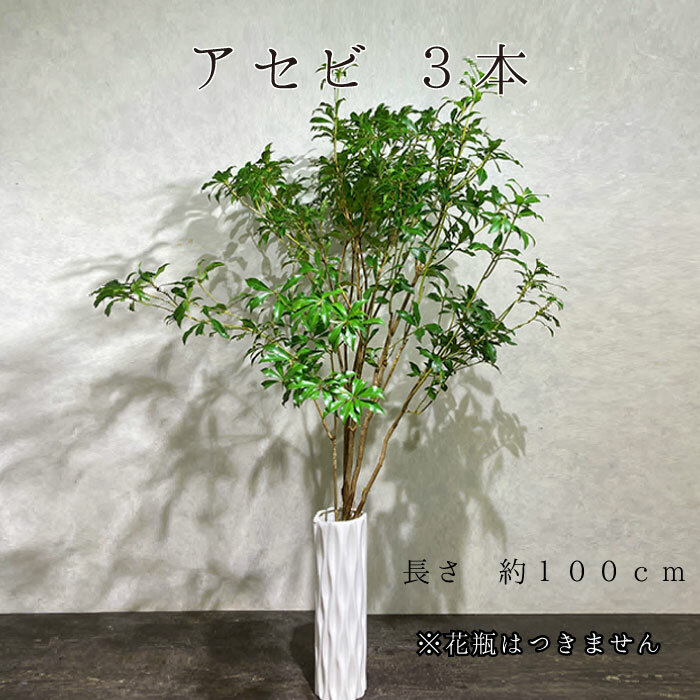 選べる季節の枝もの アセビ 馬酔木 3本 コットンフラワー 5本 ドウダンツツジ 生花 花束 送料無料 花 ギフト お祝い 誕生日 プレゼント 独特な店 選べる季節の枝もの アセビ 馬酔木 3本 コットンフラワー 5本 ドウダンツツジ 生花 花束 送料無料 花 ギフト お祝い 誕生日 プレゼント 独特な店