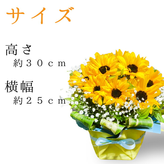 ひまわり 10本のアレンジメント ひまわり 7月の誕生花 黄色 バラ 薔薇 トルコキキョウ 花束 生花 誕生日プレゼント 女性 母 祖母 義母 女友達 男性 父 花 誕生日 お祝い フラワー ギフト お誕生日 お花 祝い 還暦祝い 誕生日ギフト 送別 昇進 Giosenglish Com