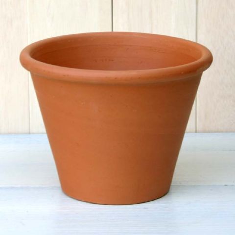 楽天市場 プランター おしゃれ テラコッタ バッサム 4l 25cm 8号 イタリア 円すい 標準鉢 普通鉢 陶器鉢 素焼き 植木鉢 鉢 ガーデニング 室内 植え替え 鉢植え 園芸 観葉植物 多肉植物 塊根植物 サボテン Diy つる性 シダ 人気 人工観葉植物 花 植木鉢 プランター