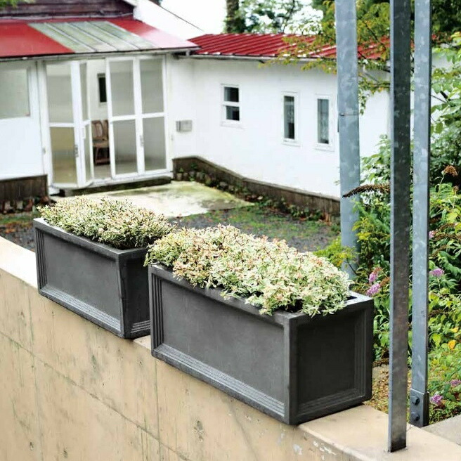 植木鉢 おしゃれ 大型 プラスチック 軽い Llプランター S Frp 60cm グレー 穴あり 横長 長方形 直方体 四角 繊維強化 軽量 樹脂 プランター 鉢 特大 大きめ ガーデニング 屋外 植え替え 鉢植え 園芸 観葉植物 多肉植物 塊根植物 サボテン つる性