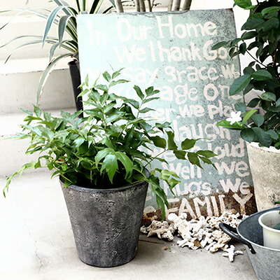 植木鉢 おしゃれ セメント フォリオソリッド2l 2色 43cm 14号 穴あり 白 クリーム グレー 黒 ブラック 円すい型 普通鉢 標準鉢 陶器鉢 コンクリート プランター 大きめ 鉢 ガーデニング 室内 鉢植え 園芸 観葉植物 多肉植物 塊根植物 サボテン 人気 人工観葉植物 花