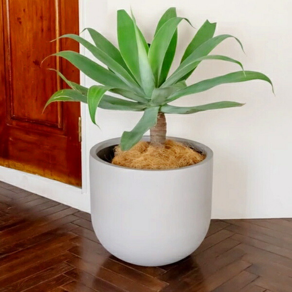 植木鉢 おしゃれ 軽い オプティマスUポットL(3色)＜ 42cm 14号 底穴あり ブラック グレー ライトグレー ポリストーンライト 軽量鉢 浅鉢 プランター 大型 円形 丸い かわいい 鉢 ガーデニング 室内 屋外 鉢植え 園芸 観葉植物 サボテン 多肉植物 塊根植物 花 ＞