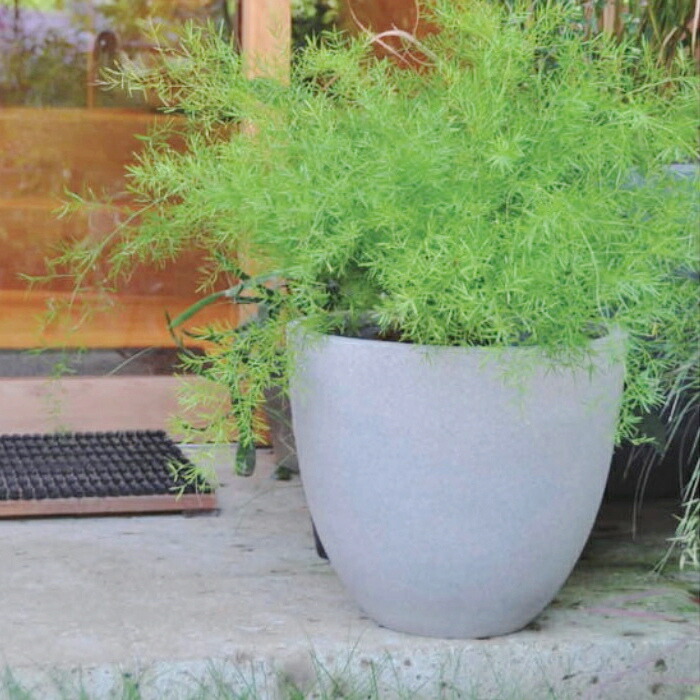 植木鉢 おしゃれ 大型 スタウトアッシュラウンドL＜ 50cm 16号 ファイバー セメント グレー 穴あり コンクリート 軽い 浅鉢 プランター かわいい 軽量 鉢 大きめ ガーデニング 室内 屋外 植え替え 鉢植え 寄せ植え 園芸 観葉植物 多肉植物 塊根植物 サボテン 花 ＞