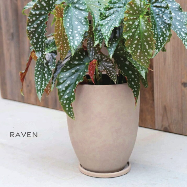植木鉢 おしゃれ 陶器鉢 レイブントールTL (2色)＜ 21cm 7号 穴あり 受け皿付き ブラウン グレー カーキ プランター かわいい 鉢 釉薬 アンティーク 縦長 深鉢 背の高い 円形 鉢カバー 陶器 室内 屋外 窓 植え替え 鉢植え 園芸 観葉植物 多肉植物 塊根植物 サボテン 花 ＞