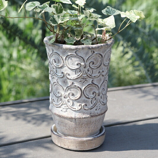 肉球型　植木鉢　屋外イメージ e-zakkaya_167237358