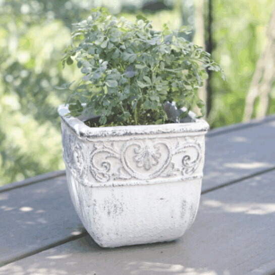 楽天市場】植木鉢 四角 アンティーク クラナススクエアL＜ 16cm 5号