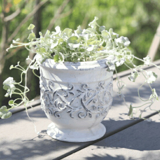 楽天市場】植木鉢 四角 アンティーク クラナススクエアL＜ 16cm 5号