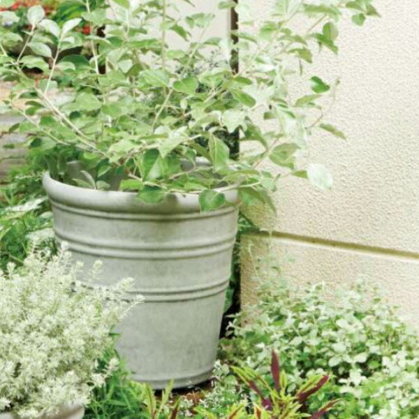 植木鉢 おしゃれ 軽い トロワグレイブサークルL(3色)＜ 外径45.5cm 15号(14号用) 合成樹脂 底穴あり ブラック ライトグレー プラスチック 軽量 プランター 大型 特大 円形 鉢 鉢カバー ガーデニング 室内 屋外 鉢植え 園芸 観葉植物 サボテン 多肉植物 塊根植物 花 ＞