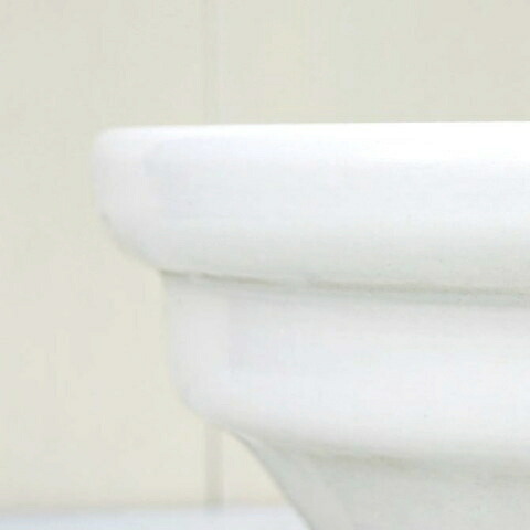 睡蓮植木鉢 水鉢 御洒落 磁器 Mi 7弊竇絶無シ M B W 33cm 11号 白色 黒 穴なし ツヤあり 信楽焼 メダカ鉢 金魚 植木鉢 プランター 鉢 ガーデニング 室内 植え動 鉢植え 園芸 室内便器 洗面 観葉植物 多肉植物 塊根植物 サボテン Diy つる仕来