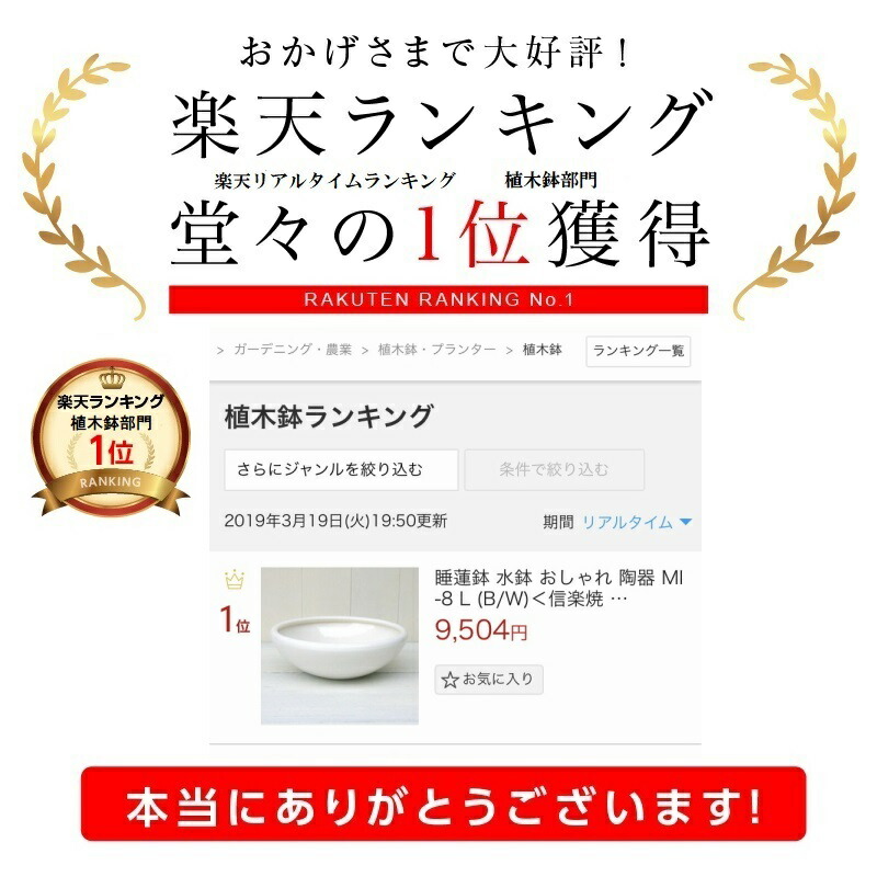 楽天市場 睡蓮鉢 水鉢 おしゃれ 陶器 Mi 8 S B W ランキング 1位 27cm 9号 白 黒 穴なし ツヤあり 信楽焼 メダカ鉢 金魚 植木鉢 プランター 鉢 ガーデニング 室内 植え替え 鉢植え 園芸 トイレ 洗面 観葉植物 多肉植物 塊根植物 サボテン
