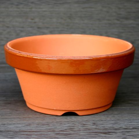 楽天市場 植木鉢 おしゃれ 和風 素焼き 浅駄温鉢 5l 25 2cm 8号 穴あり 赤 茶 褐色 常滑焼 日本製 浅い 浅め 浅鉢 背の低い 寄せ植え 陶器鉢 テラコッタ プランター 鉢 ガーデニング 室内 植え替え 鉢植え 園芸 観葉植物 多肉植物 塊根植物 サボテン
