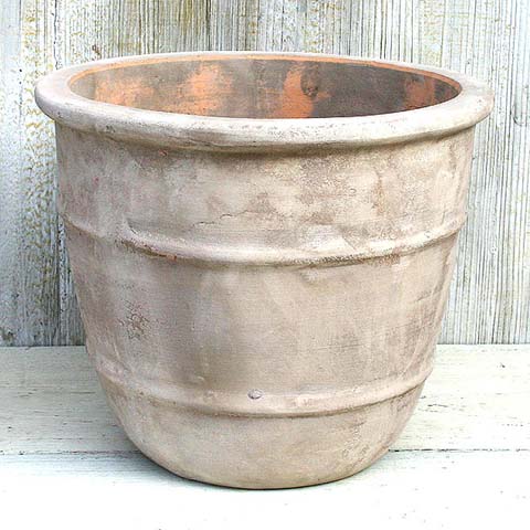 楽天市場 植木鉢 おしゃれ 大型 テラコッタ テラアストラシリウスm ランキング 1位 46cm 15号 底穴あり ベージュ ブラウン 白 シャビー 陶器鉢 素焼き プランター 鉢 アンティーク 特大 大きめ ガーデニング 室内 植え替え 鉢植え 観葉植物 多肉植物 塊根植物 サボテン