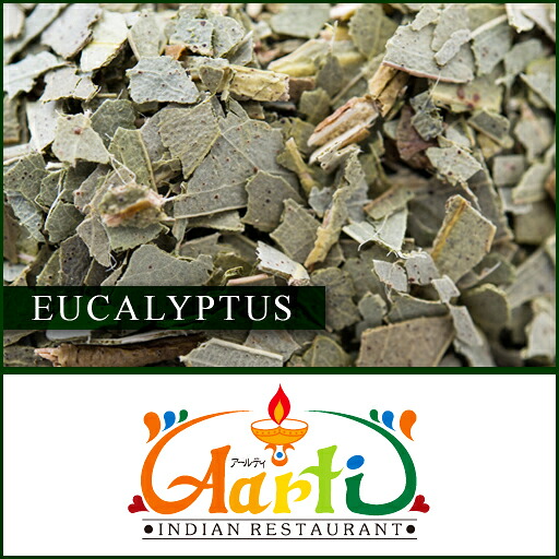 ユーカリプタス 500g 常温便 Eucalyptus ユーカリ ユウカリ