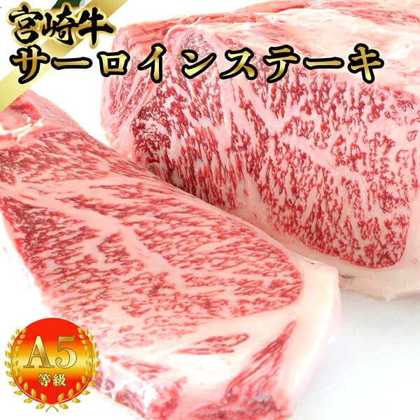 【ポイント2倍★マラソン限定】圧巻の大判 サーロイン 宮崎牛 A5A4等級 600g（300g×2枚） 高級黒毛和牛 贅沢ギフト 誕生日 父の日 内祝い ステーキ肉 焼肉 お祝い 宮崎 サーロイン A5 ギフト