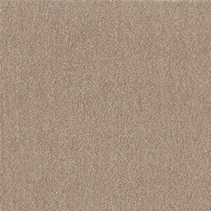 ○【1容れもの売り】東リ ウィズペットフロア モカ WPF03 40cm×40珊 10枚売り