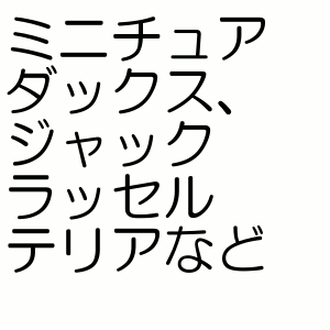 ○【メール便3個・ネコポス4個までOK】ターキー 愛情口輪3号 AKW-03 ○【メール便3個・ネコポス4個までOK】ターキー 愛情口輪3号 AKW-03