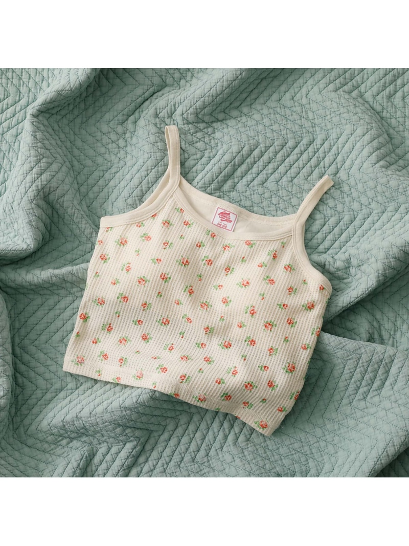 楽天市場】THE SHISHIKUI / シシクイ | KNIT CAMI リブニット