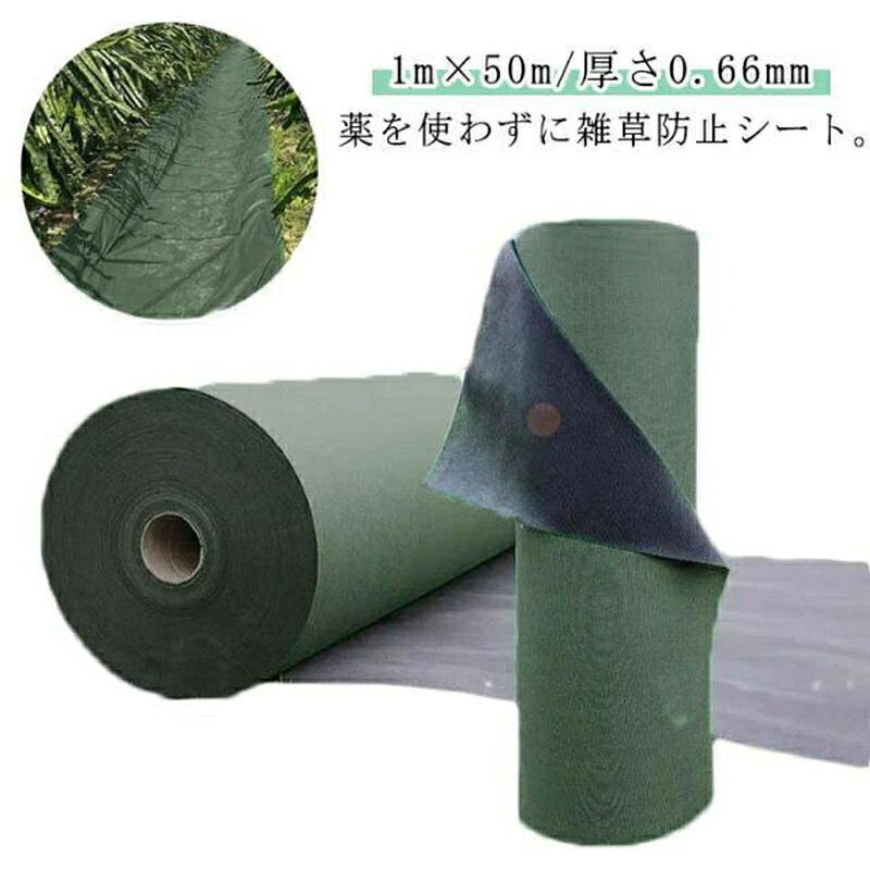 【百貨店SALE】高耐久 240 ザバーン 除草居敷き 法面 1m×50m 朦朦たる 0.66粍 緑であること 居敷き本体 豪然たる印字機 雑草押しとどめる 除草 さざれ石下居敷き 防草シー