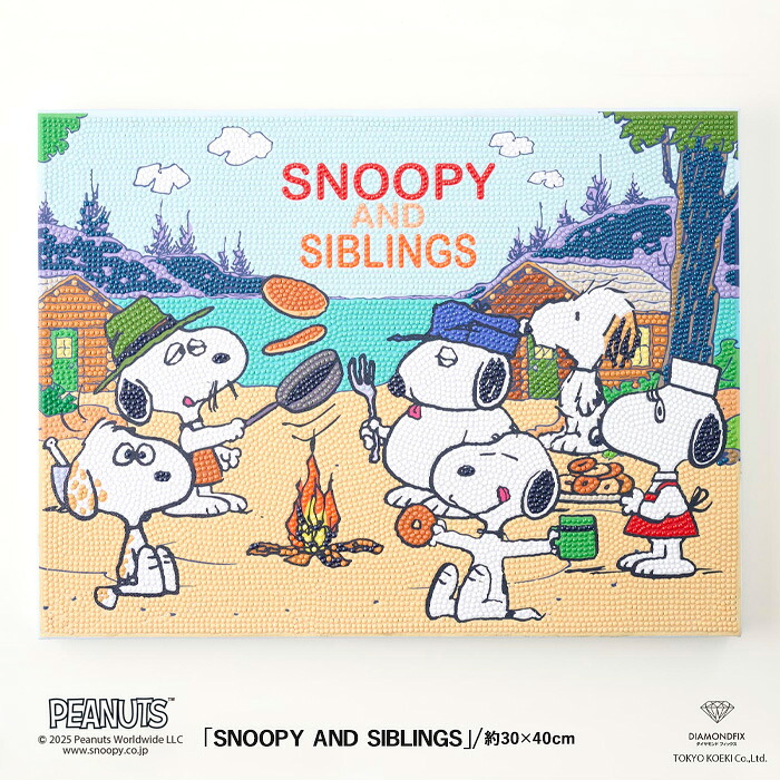 ビーズキット ダイヤモンドフィックス スヌーピー SNOOPY AND SIBLINGS /DF34-PN001