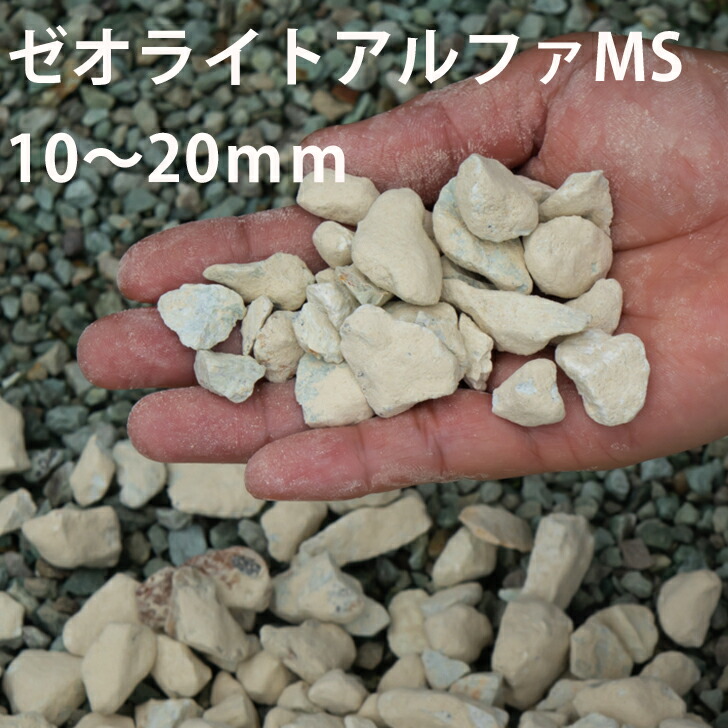 お中元 ペット用品 ゼオライトアルファms 10mm mm 5kg 気になるおしっこ臭が消えお隣さんとのトラブル回避 庭に撒くだけ 庭消臭 犬猫糞尿消臭アンモニア臭 雑貨 犬 尿 臭い 庭 本州 四国のみ発送可 Meetfresh Us