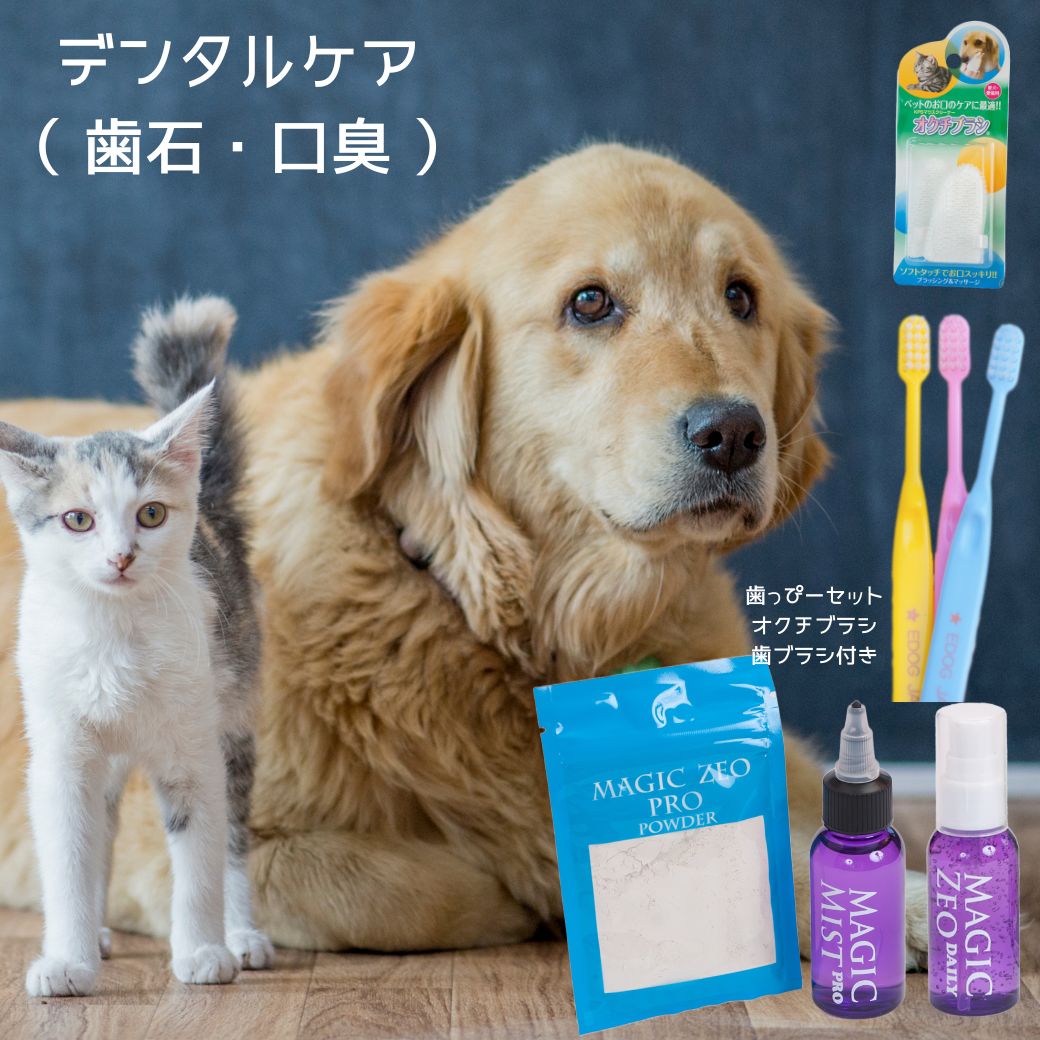 楽天市場】ペット用品 犬 歯石取り 歯磨き粉 マジックゼオ プロ 