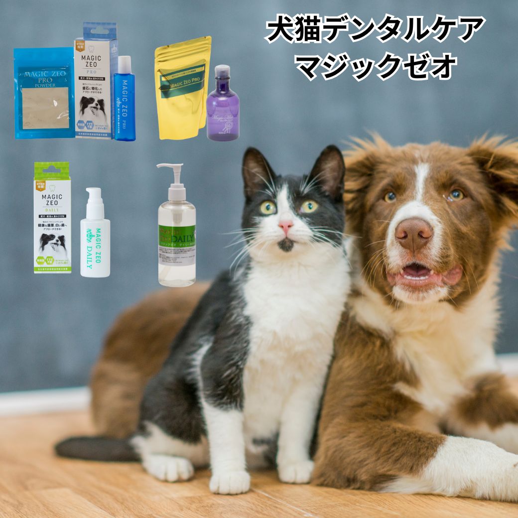百貨店SALE 6月打ちかかる！