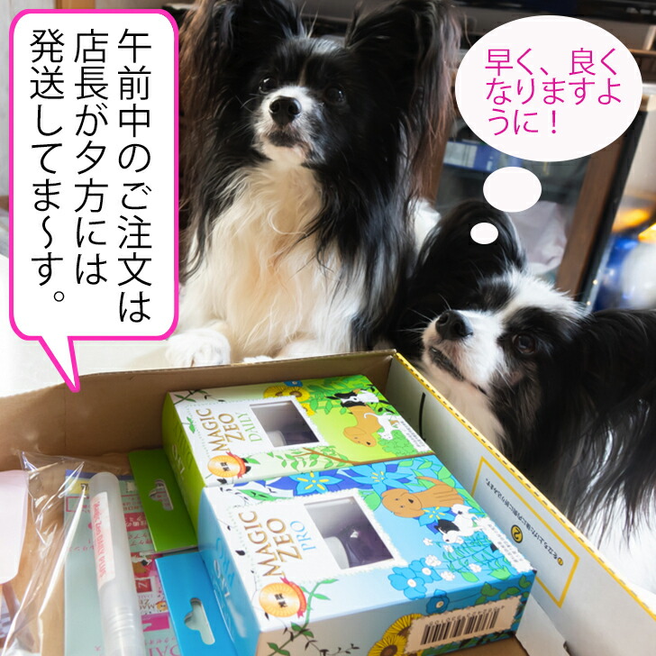 市場 ペット用品 プロ 歯石取り マジックゼオ 犬 歯磨き粉 EDOGJAPAN歯ブラシ3本 送料無料 デイリー