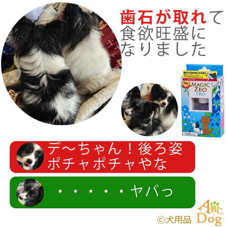 ペット用品 犬 Edogjapan歯ブラシ3本 プロ 送料無料 マジックゼオ 歯石取り 歯磨き粉 デイリー