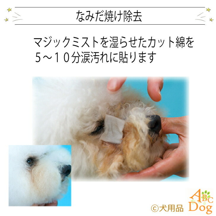 売れ筋がひ新作 ペット用品 犬マジックミスト Magic Mist 詰め替え用 1000ml 2本 アルカリ電解水 犬猫ペット 口臭予防 涙焼け 耳掃除 毛並み消臭 除菌 大腸菌軽減 潤い 安全 ブラッシング スプレー ミスト グルーミング Fucoa Cl