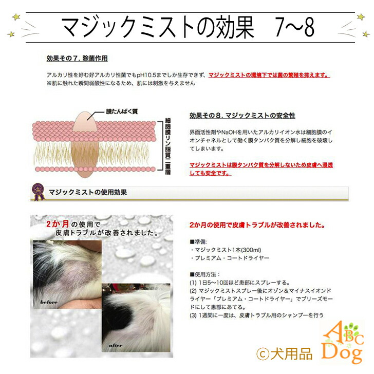 楽天市場 送料無料 マジックミスト Magic Mist 詰め替え用 1000ml 1本 アルカリ電解水 犬猫ペット 口臭予防 涙焼け 耳掃除 毛並み消臭 除菌 大腸菌軽減 潤い 安全 ブラッシング スプレー ミスト グルーミング 犬用品abcdog マジックゼオ販売店