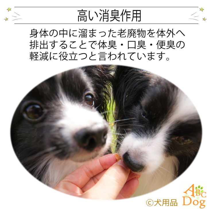 楽天市場 鹿肉スティック おやつゼオ ゼオライト入りおやつ 犬 ペット 無添加 国産 安心安全 歯石減少効果 犬 おやつ お菓子 おやつゼオ ゼオライト入り 犬歯磨き効果 お菓子 犬のご褒美 賞味期限21年6月30日 犬用品abcdog マジックゼオ販売店