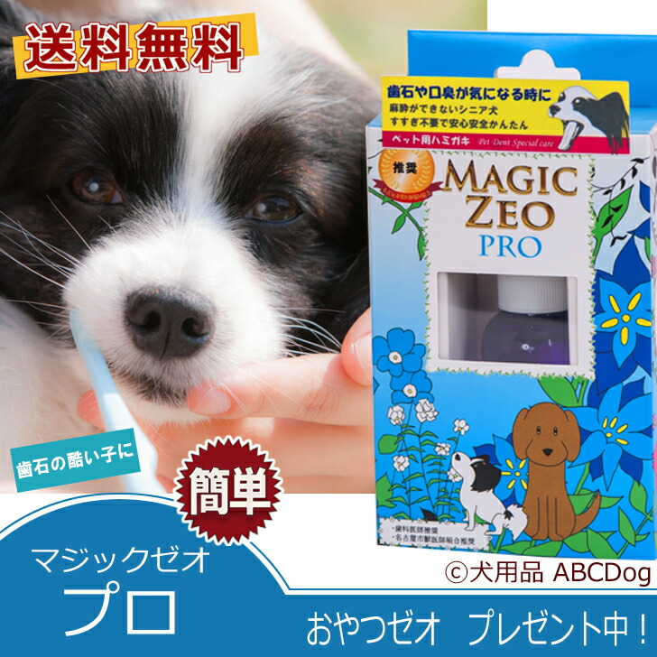 市場 ペット用品 犬 EDOGJAPAN歯ブラシ3本 歯磨き粉 デイリー マジックゼオ 歯石取り プロ 送料無料