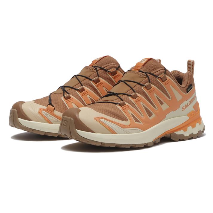 【SALOMON】 サロモン XA PRO 3D V9 GTX W エックスエー3D V9 GTX W L47987800 ABC-MART限定