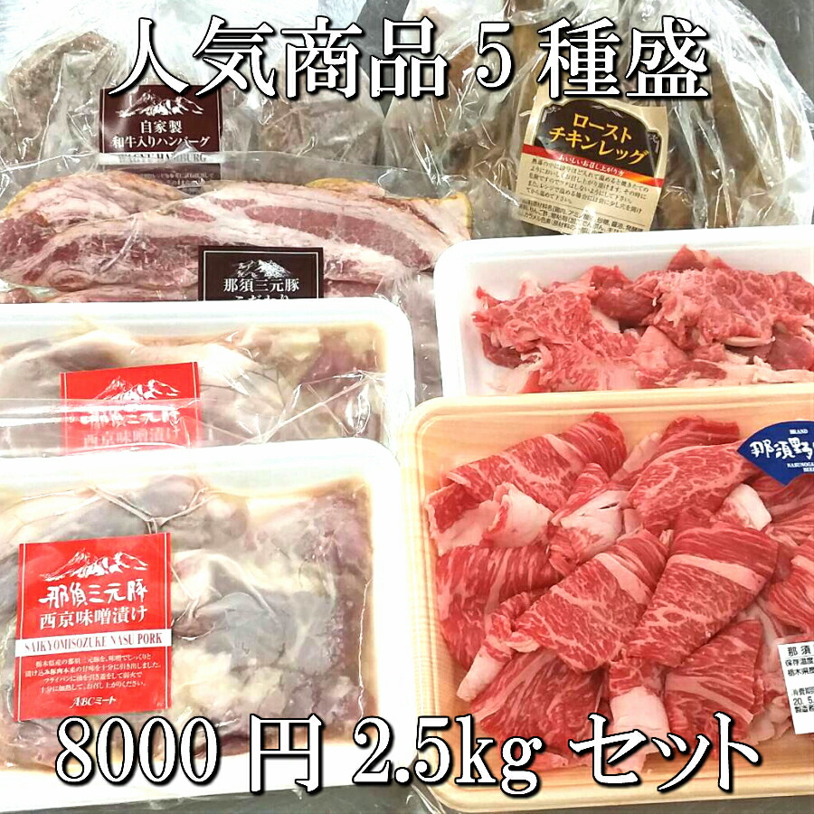 開店祝い 人気5種盛り合わせ8000円2 5kgセット ハンバーグ 味噌漬け 那須野ヶ原牛切落し ローストチキン ベーコンスライス 食品 肉 お試し 卸 問屋 直送 業務用 ブランド豚 ブランド牛 お弁当 人気 おつまみ Abcミート 激安の Vancouverfamilymagazine Com