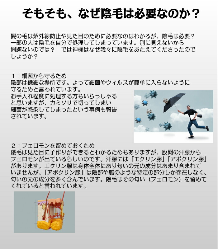 楽天市場 女性専用デリケートゾーン用アンダーフラワーレースタイプ ヘアケア 医療 かつら ウィッグ 陰毛 アンダーヘア 股間 両面テープ 自然 Wig Hairpiece Lady ｅヘアーの髪倶楽部