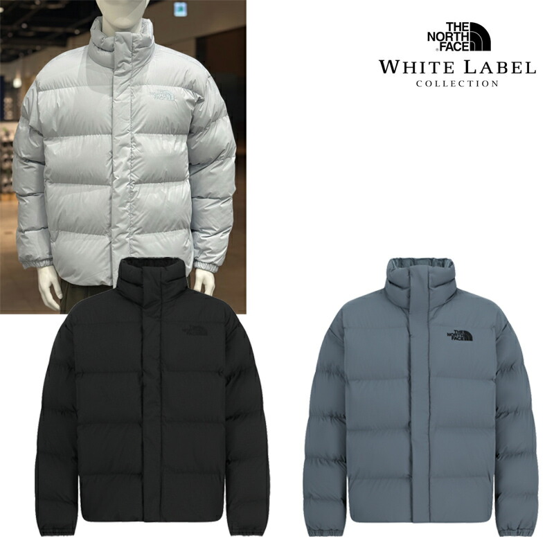 楽天市場】☆送料無料☆THE NORTH FACE☆NJ3NQ60 MS LEWES EX T