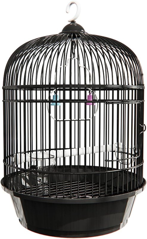 こんぱまるオリジナル　ステンレスケージ小　Y211 鳥籠　鳥かご　インコ　オウム オリジナル ステンレスケージ小 Y211 | こんぱまるオンライン