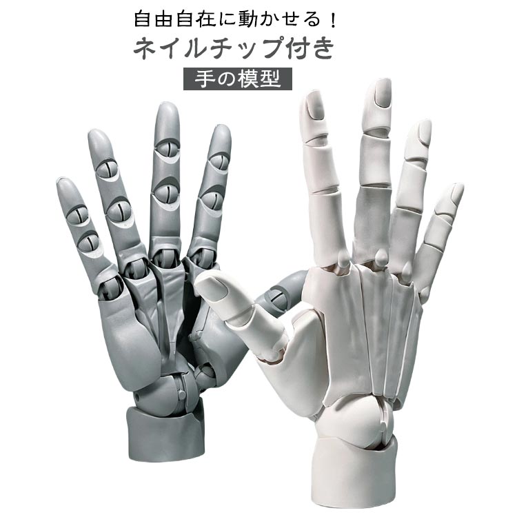 曲げられるスタンド付き ハンドモデル ネイルチップ付き 1/1 左手 右手 R L 可動式 バイオニック指関節 アニメ デッサン用素体美術 フィギュア ホワイト グレー スキンカラー モデル ハンド 模型 イラスト デッサン 可動手首