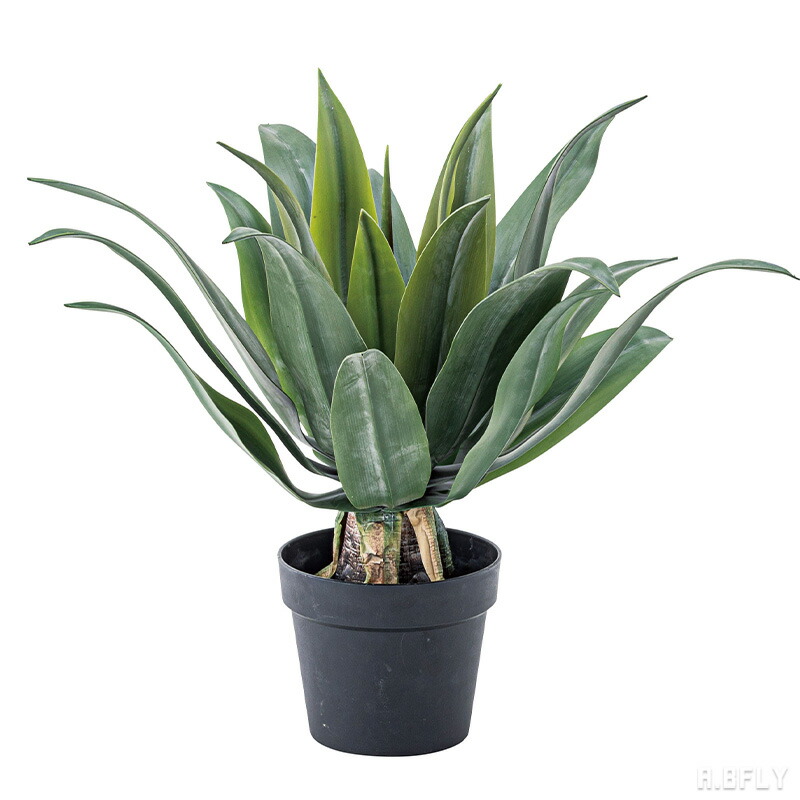 【SS最大限度8000円OFF】【高さ53糎 アガベ】人工観葉草木 フェイクグリーン 人工 観葉草木 緑であること 室内装飾 検査と修理飾り気の無い 水やり不必要 声遣い 晩ご飯 リビング 部屋の入り口 臥し所 北欧口当たり 成し遂げる品[LF]