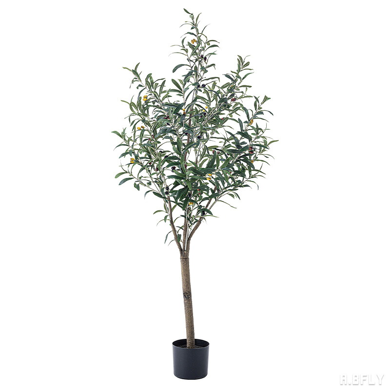 【マラソン限定｜最大6,000円OFFクーポン】高さ152cm オリーブ 人工観葉植物 フェイクグリーン 人工 観葉植物 グリーン メンテナンス簡単 水やり不要 ダイニング リビング 完成品 北欧[LF]｜A.BFLY ア.ビーフライ
