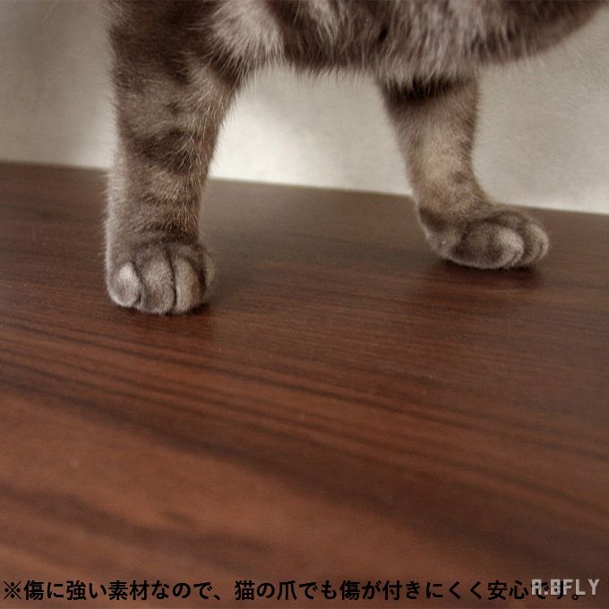 楽天市場 キャットトイレ クローゼット チェスト 猫用トイレ 収納 トイレ収納 猫砂飛び散り対策 清潔 猫砂 猫用品 ストック トイレを隠せる シンプル インテリア ブラウン お洒落 便利 猫家具 ネコ家具 ペット用品 人気 A Bfly ア ビーフライ