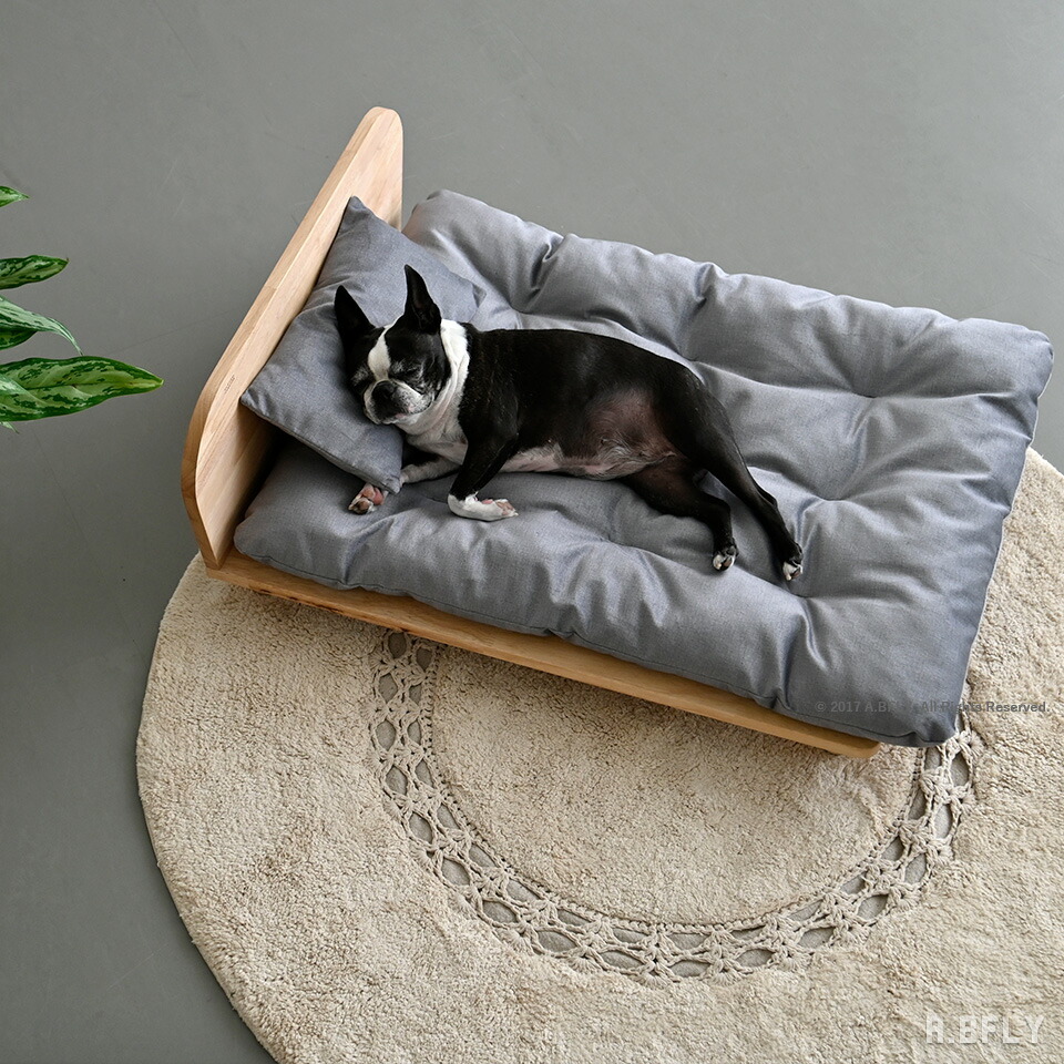 楽天市場】雑貨 ペット カドラー ベッド バスケット かご 籐 ラタン