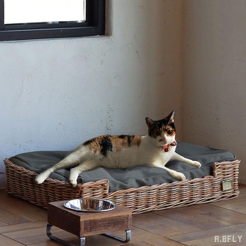 楽天市場】【MAX6,000円クーポン配布中】雑貨 ペット カドラー ベッド