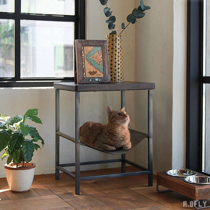 楽天市場】【SS限定｜最大8,000円OFFクーポン】ネコ用 ハンモック