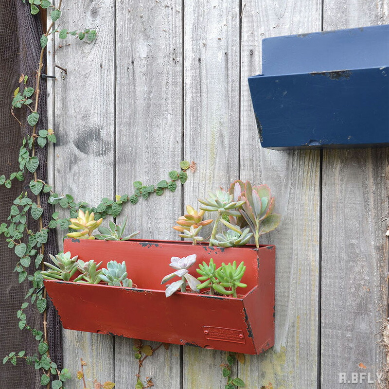 楽天市場】【SS限定｜最大8,000円OFFクーポン】ガーデニング